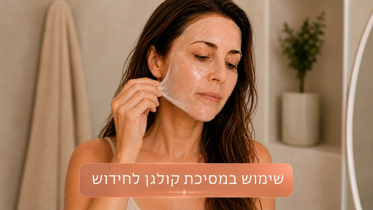 שלב 6